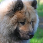 Программы лояльности казино без депозита